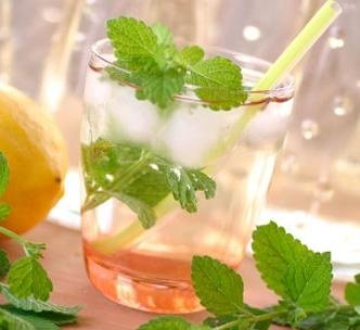 Zitronenmelisse-Sirup
