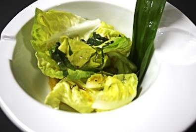 Gurken-Kopfsalat mit Zitronen-Bärlauchdressing