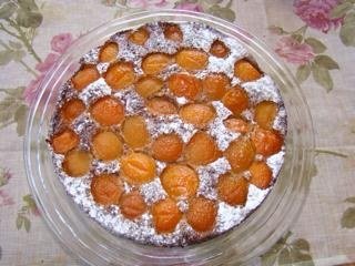 Aprikosen Schlupftorte